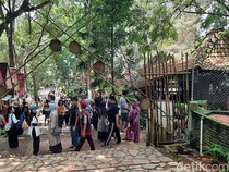 Ribuan Wisatawan Padati Hutan Pinus Pijar Park Kudus