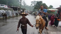 Wisata berkuda di Wana Wisata Padusan/Foto: Enggran Eko Budianto/detikJatim