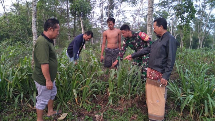 penemuan bayi blitar