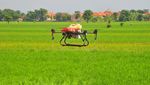 Penyemprotan Pestisida dengan Drone Mulai Diminati, Begini Potretnya