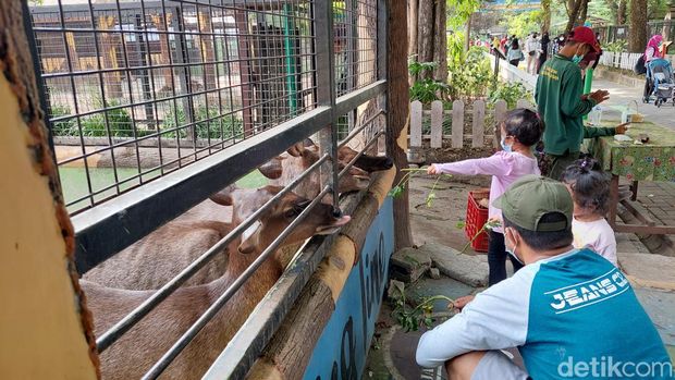 Ramai pengunjung berlibur akhir tahun di KBS.