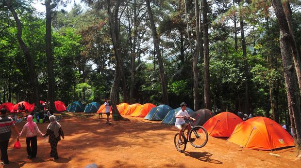 Wisatawan mengunjungi wana wisata Pijar Park di Dawe, Kudus, Jawa Tengah, Minggu (31/12/2023). Destinasi wisata hutan milik Perhutani yang berlokasi di lereng Gunung Muria itu menawarkan kesejukan dan keindahan pemandangan hutan pinus sambil berkemah dan dikunjungi hingga 2.000 wisatawan saat liburan Natal 2023 dan Tahun Baru 2024. ANTARA FOTO/Yusuf Nugroho/rwa.