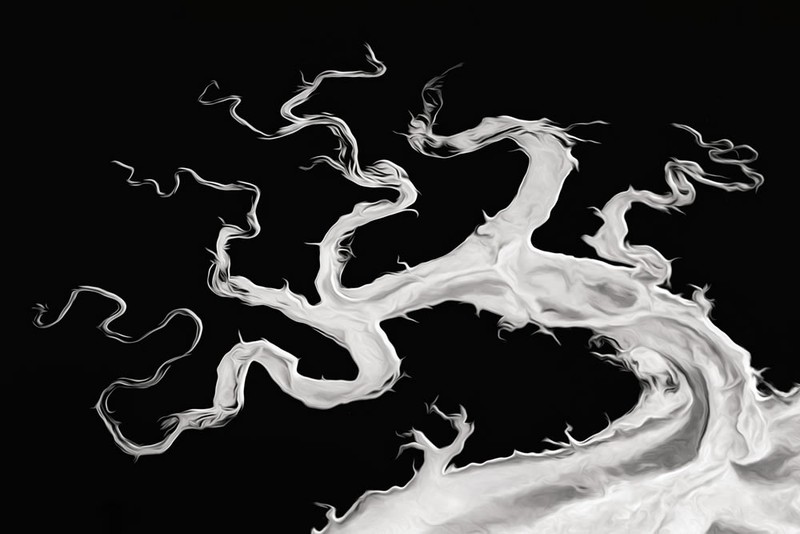 2023 reFocus Awards Black and White Photo Contest