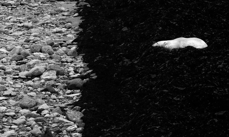2023 reFocus Awards Black and White Photo Contest