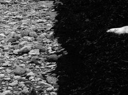 Karya Jawara Kontes Foto Hitam Putih yang Menyihir Mata