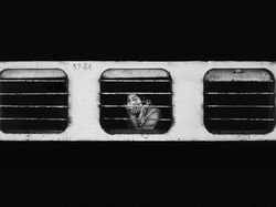 Karya Jawara Kontes Foto Hitam Putih yang Menyihir Mata