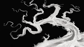 A Tributary In The Abstract karya Pat Kennedy Corlin terpilih sebagai juara di kategori Abstract. Foto: Pat Kennedy Corlin/2023 reFocus Awards Black and White Photo Contest