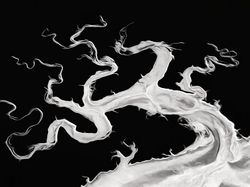 Karya Jawara Kontes Foto Hitam Putih yang Menyihir Mata