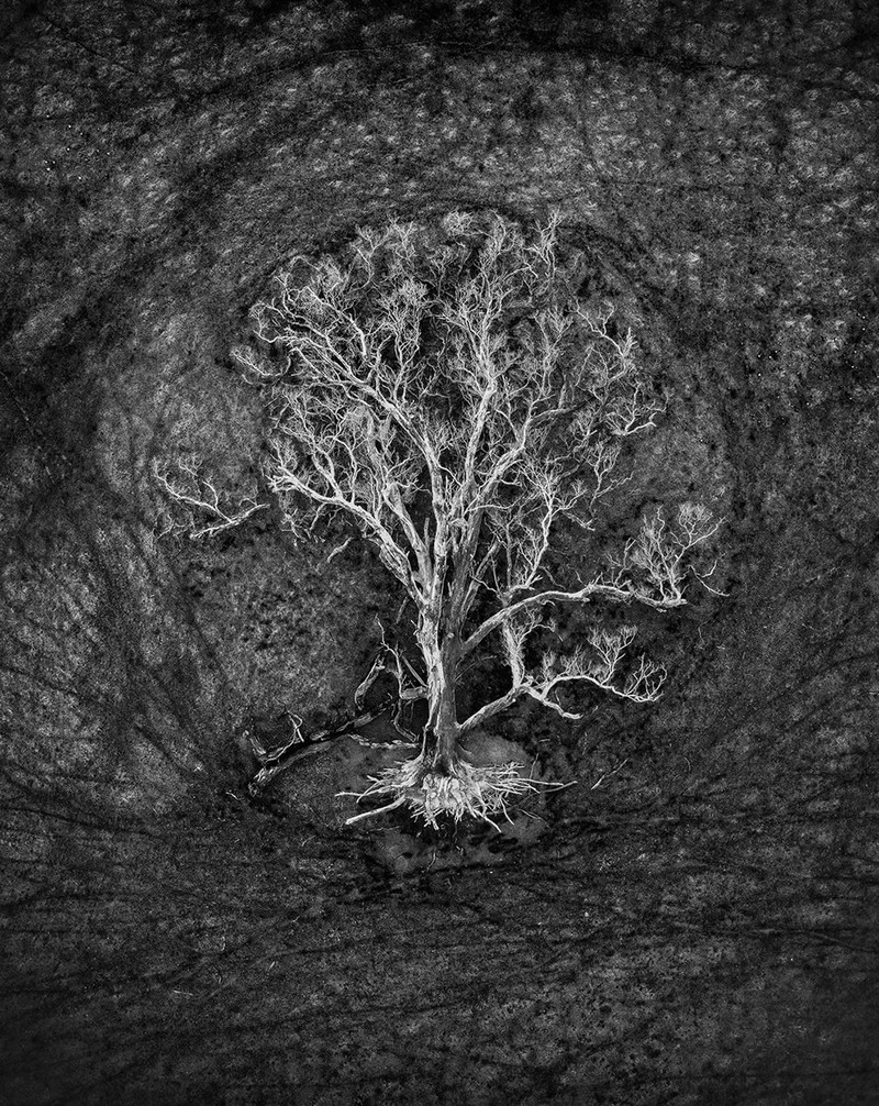 2023 reFocus Awards Black and White Photo Contest