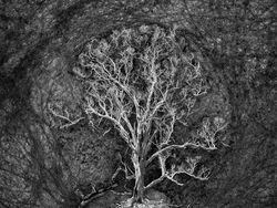 Karya Jawara Kontes Foto Hitam Putih yang Menyihir Mata