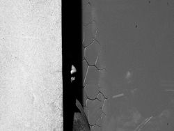 Karya Jawara Kontes Foto Hitam Putih yang Menyihir Mata