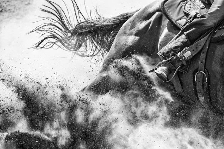 2023 reFocus Awards Black and White Photo Contest