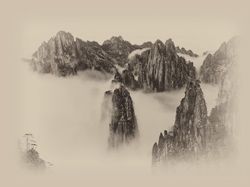 Karya Jawara Kontes Foto Hitam Putih yang Menyihir Mata