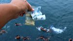 Aksi Anak Logam Menantang Bahaya di Pelabuhan Ketapang
