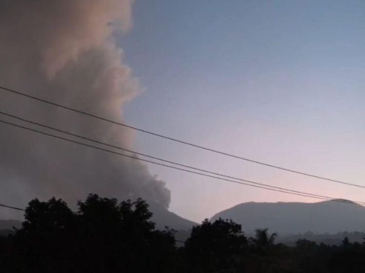 Potret Pascaerupsi Gunung Lewotobi, Kebun-Motor Berselimut Abu Vulkanik