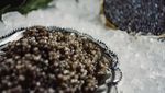 Ini Dia! 10 Jenis Caviar di Dunia yang Populer Sebagai Makanan Sultan
