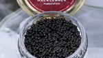 Ini Dia! 10 Jenis Caviar di Dunia yang Populer Sebagai Makanan Sultan
