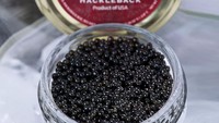 Ikan asli Amerika Utara dengan nama latin Scaphirhynchus platorynchus diketahui sebagai penghasil Hackleback Caviar. Ciri khas dari caviar ini adalah rasanya yang manis dan buttery. Foto: TasteAtlas