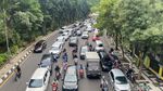 Pengunjung KBS Membeludak di Libur Tahun Baru 2024