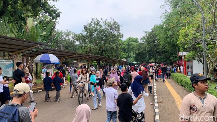 Kepala Humas Taman Margasatwa Ragunan (TMR) Wahyudi Bambang (Mulia/detikcom)