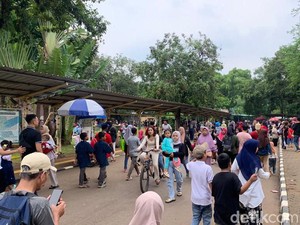 Pengunjung Ragunan Membeludak, Pengelola Tambah 10 Kantong Parkir
