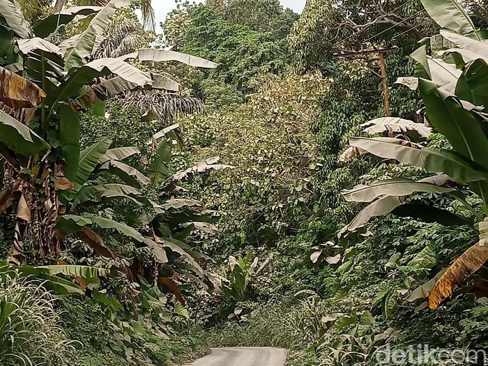 Kondisi pacaraerupsi Gunung Lewotobi Laki-Laki, Flores Timur, NTT, Senin (1/1/2024). (Arnoldus Yurgo Purab)