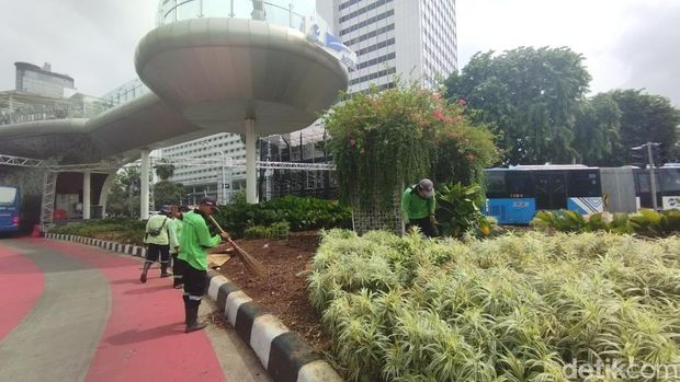 Kondisi tanaman rusak yang tengah diperbaiki petugas di sekitar Bundaran HI (Belia/detikcom)