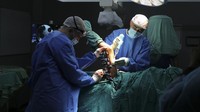 Selain itu sebanyak 56.451 orang terluka di Gaza sejak dimulainya perang. AP Photo/Hatem Ali. 