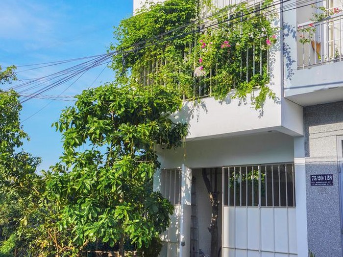 rumah tanpa dinding penutup di Vietnam/via Dezeen