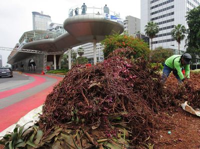 Tanaman di Bundaran HI Rusak Usai Perayaan Tahun Baru 2024