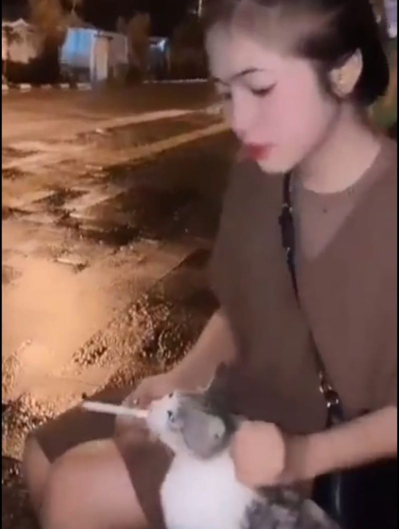 Tangkapan layar wanita memaksa kucing merokok