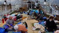 Warga yang dievakuasi beristirahat di rumah kaca yang diubah menjadi pusat evakuasi, pasca gempa, di Wajima, prefektur Ishikawa, Jepang 2 Januari 2024.