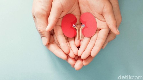 Ilustrasi gagal ginjal akut pada anak