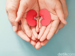 Alert! 700 Ribu Warga +62 Sakit Gagal Ginjal Kronik, Dokter Ungkap Penyebabnya