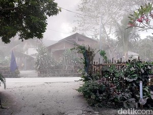 Ritual Tube Ile, Warga di Lereng Gunung Lewotobi Dilarang Sapu Halaman