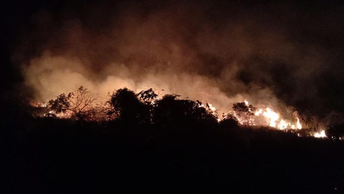 Lahan terbakar di Babel tahun 2023.