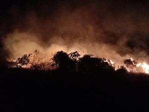 BPBD Catat 2 Ribu Hektare Lebih Lahan di Babel Terbakar Sepanjang 2023