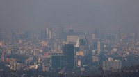 Berdasarkan situs iqair.com per 2 Januari 2023 tingkat polusi udara di Meksiko berada di poin 77 yang berarti sedang.