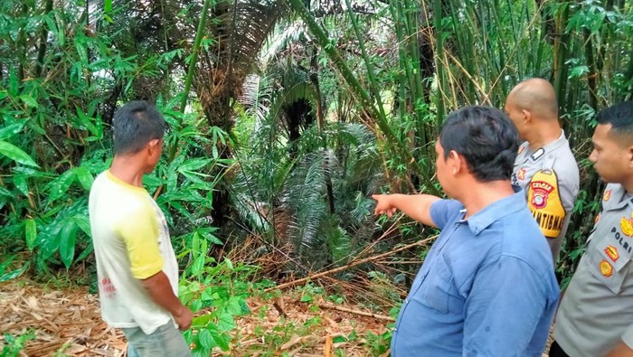Warga di Kabupaten Bone Bolango, Gorontalo digegerkan dengan penemuan bayi laki-laki dalam kondisi hidup di dalam kantong plastik berwarna merah.