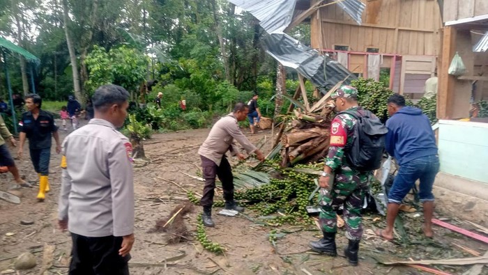 Sebuah pohon aren tumbang menimpa rumah warga di Kabupaten Luwu, Sulawesi Selatan (Sulsel).