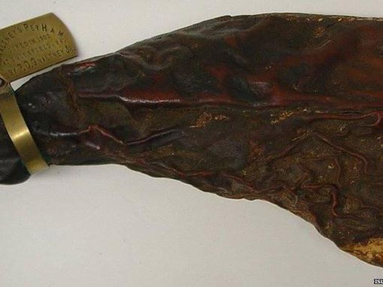 Tanpa Pengawet Buatan, 10 Makanan Ini Bisa Tahan Ratusan Tahun!