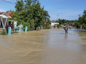 Banjir 1 Meter Terjang Permukiman Warga di Mamuju Tengah, 109 KK Terdampak