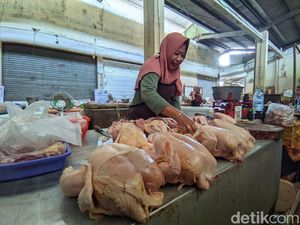 Harga Cabai-Daging Ayam di Kulon Progo Turun Awal Tahun Ini