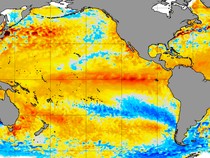 Studi: El Nino Bakal Lebih Kuat dalam 2-5 Tahun, Ini Dampaknya bagi Iklim Global