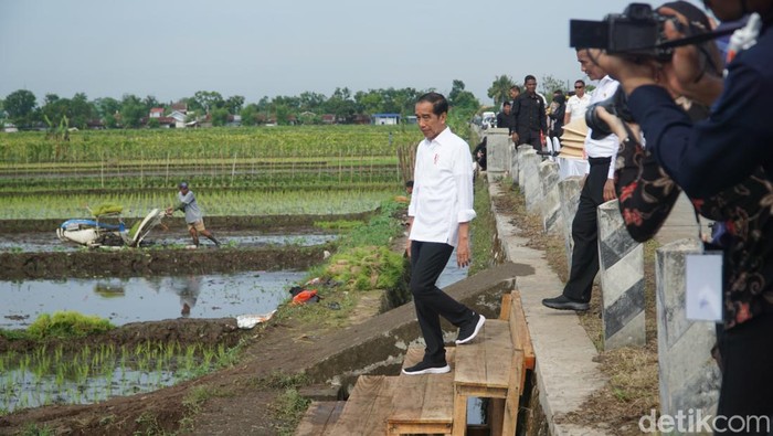 Presiden Jokowi didampingi Mentan meninjau proses penanaman padi di Desa Sokaraja Kidul, Kecamatan Sokaraja, Kabupaten Banyumas, Rabu (3/1/2024).