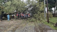 Kondisi rel kereta api di Jalan Mayor Sunaryo, Kota Solo, terhalang pohon tumbang, Rabu (3/1/2023) siang. Foto: Tara Wahyu NV/detikJateng