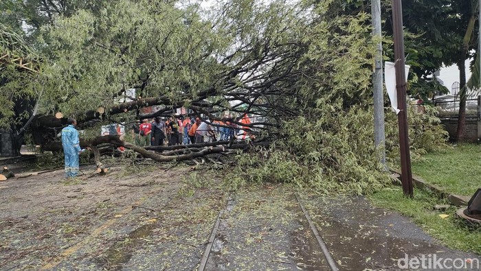 Kondisi rel kereta api di Jalan Mayor Sunaryo, Kota Solo, terhalang pohon tumbang, Rabu (3/1/2023) siang. Kondisi rel kereta api di Jalan Mayor Sunaryo, Kota Solo, terhalang pohon tumbang, Rabu (3/1/2023) siang.