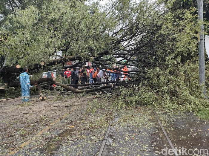 Kondisi rel kereta api di Jalan Mayor Sunaryo, Kota Solo, terhalang pohon tumbang, Rabu (3/1/2023) siang.