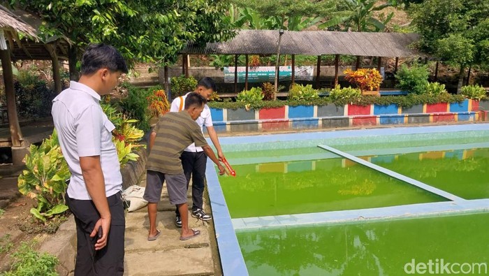 Lokasi kolam renang saat Nahla tenggelam.