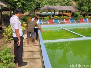 Liburan Berujung Duka, Bocah SD di Pangandaran Tenggelam di Kolam Renang